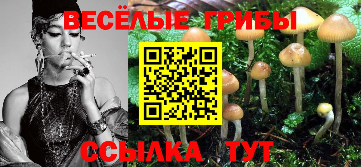 Псилоцибиновые грибы Psilocybe Дубна