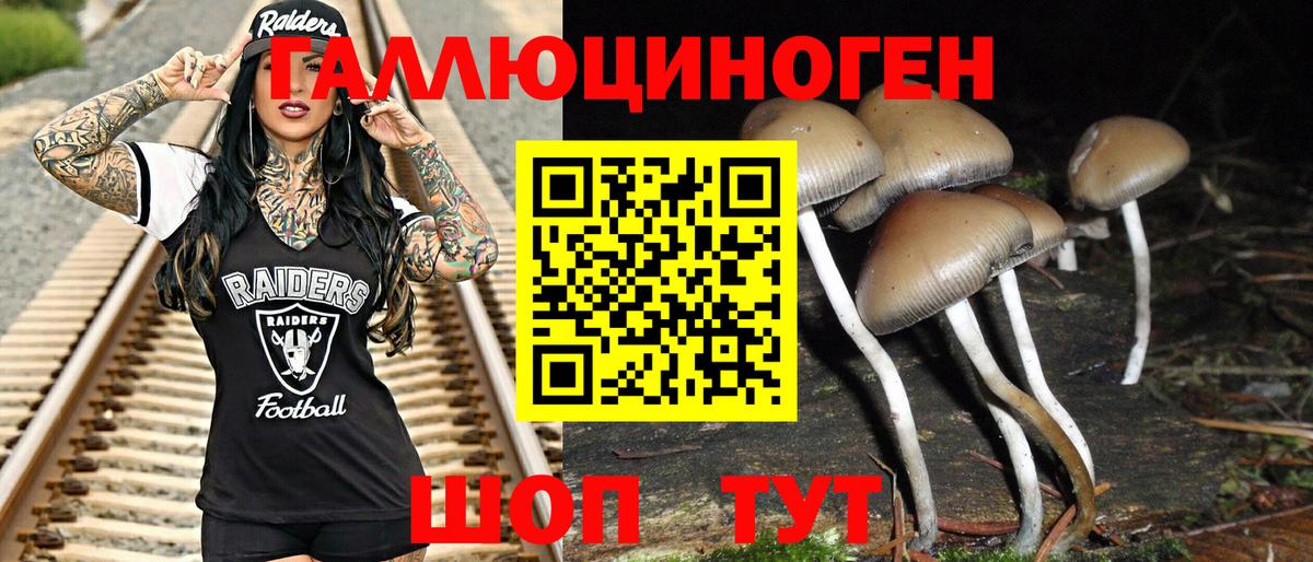 как найти наркотики  Вход с VPN  Галлюциногенные грибы GOLDEN TEACHER  Дубна  Псилоцибиновые грибы MAGIC MUSHROOMS 